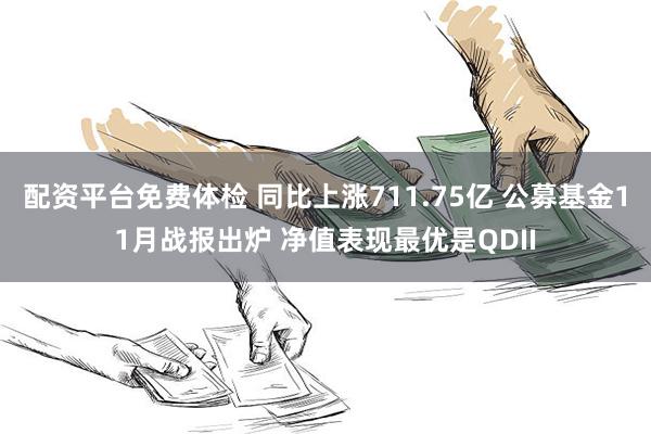 配资平台免费体检 同比上涨711.75亿 公募基金11月战报出炉 净值表现最优是QDII