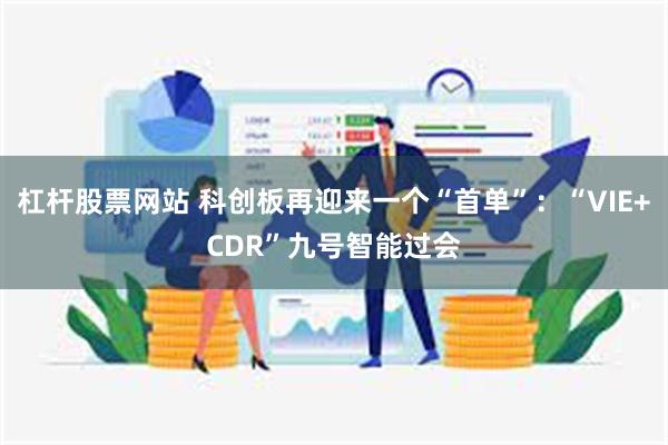 杠杆股票网站 科创板再迎来一个“首单”：“VIE+CDR”九号智能过会