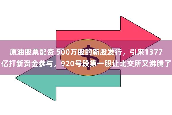 原油股票配资 500万股的新股发行，引来1377亿打新资金参与，920号段第一股让北交所又沸腾了