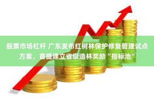 股票市场杠杆 广东发布红树林保护修复管理试点方案，首提建立省级造林奖励“指标池”