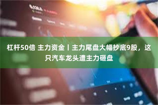 杠杆50倍 主力资金丨主力尾盘大幅抄底9股，这只汽车龙头遭主力砸盘