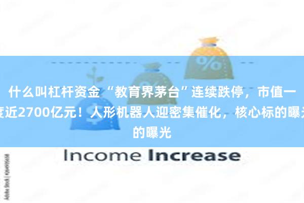 什么叫杠杆资金 “教育界茅台”连续跌停，市值一度近2700亿元！人形机器人迎密集催化，核心标的曝光