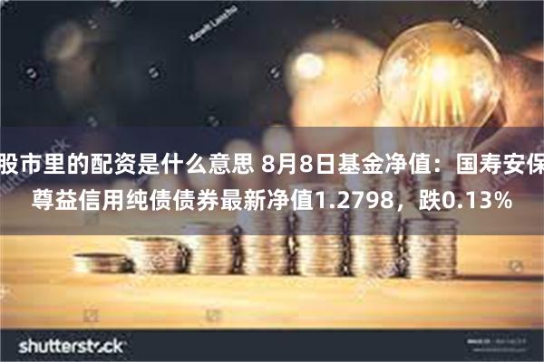 股市里的配资是什么意思 8月8日基金净值：国寿安保尊益信用纯债债券最新净值1.2798，跌0.13%