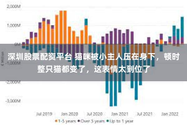 深圳股票配资平台 猫咪被小主人压在身下，顿时整只猫都变了，这表情太到位了