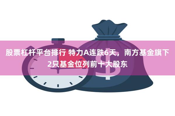 股票杠杆平台排行 特力A连跌6天，南方基金旗下2只基金位列前十大股东