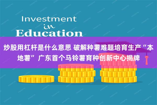 炒股用杠杆是什么意思 破解种薯难题培育生产“本地薯” 广东首个马铃薯育种创新中心揭牌