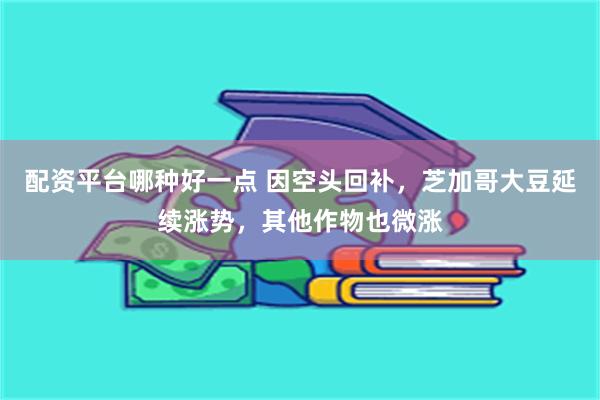 配资平台哪种好一点 因空头回补，芝加哥大豆延续涨势，其他作物也微涨