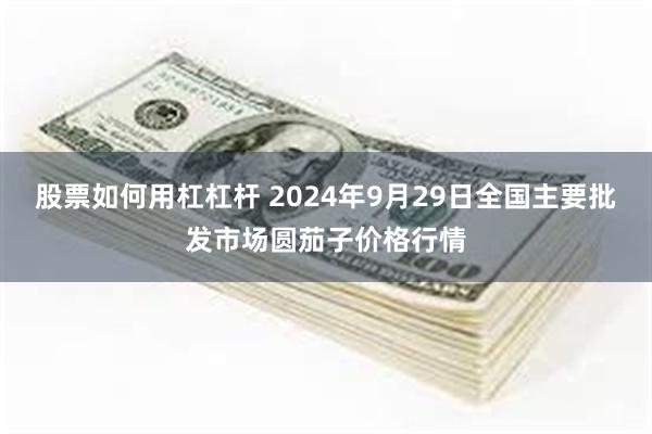 股票如何用杠杠杆 2024年9月29日全国主要批发市场圆茄子价格行情