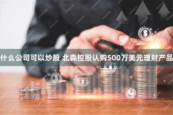 什么公司可以炒股 北森控股认购500万美元理财产品