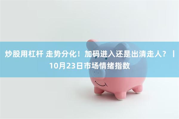 炒股用杠杆 走势分化！加码进入还是出清走人？丨10月23日市场情绪指数