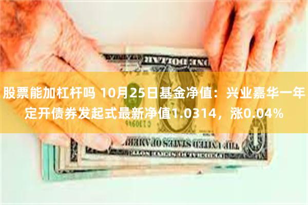 股票能加杠杆吗 10月25日基金净值：兴业嘉华一年定开债券发起式最新净值1.0314，涨0.04%