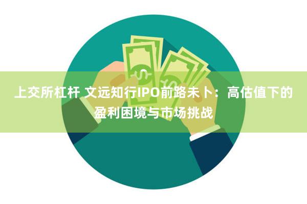 上交所杠杆 文远知行IPO前路未卜：高估值下的盈利困境与市场挑战