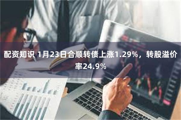 配资知识 1月23日合顺转债上涨1.29%，转股溢价率24.9%