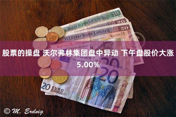 股票的操盘 沃尔弗林集团盘中异动 下午盘股价大涨5.00%