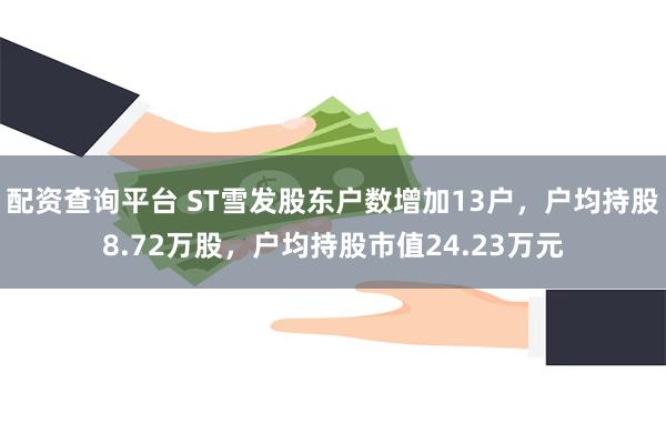 配资查询平台 ST雪发股东户数增加13户，户均持股8.72万股，户均持股市值24.23万元